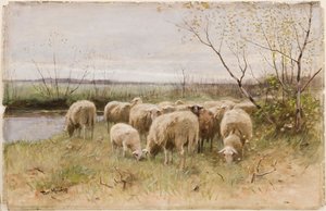 Får